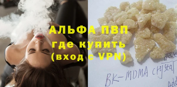 бошки Белокуриха
