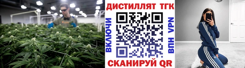 Купить  Кизел  Дистиллят ТГК Wax 