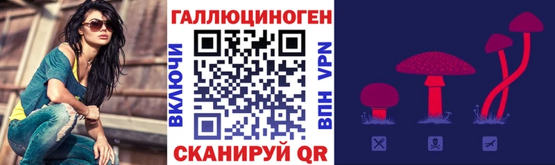 Купить  Кизел  Псилоцибиновые грибы Magic Shrooms 